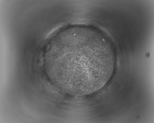 X0000112891350200909181902