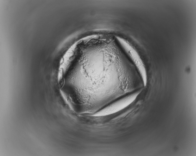 X0000112891351200909181902
