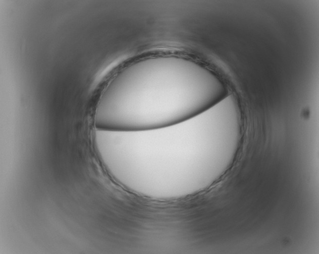 X0000112891352200909181902