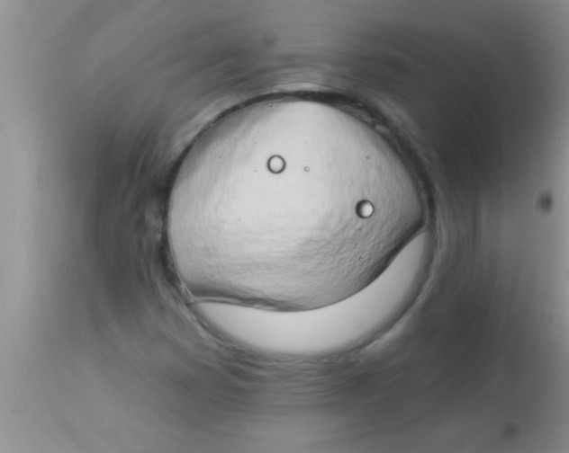 X0000112891353200909181902