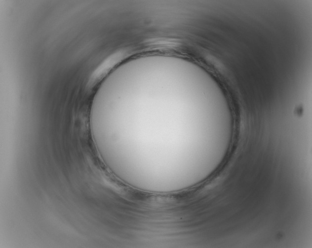 X0000112891354200909181902