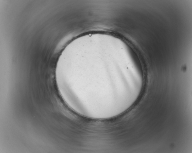 X0000112891355200909181902