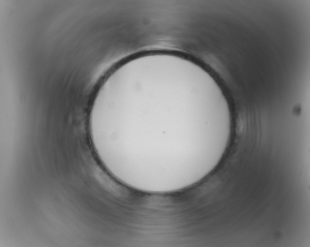 X0000112891356200909181902