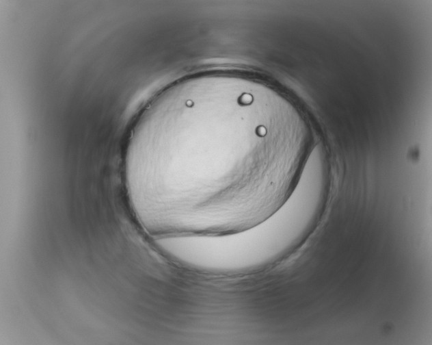 X0000112891357200909181902