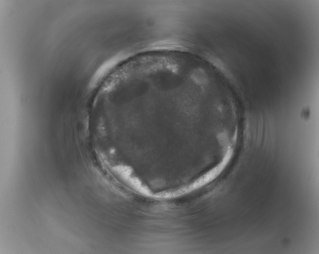 X0000112891358200909181902