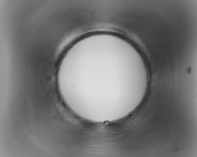 X0000112891360200909181902