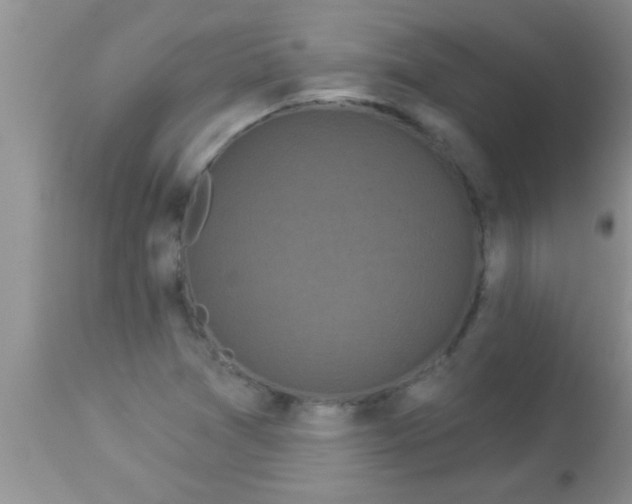 X0000112891361200909181902