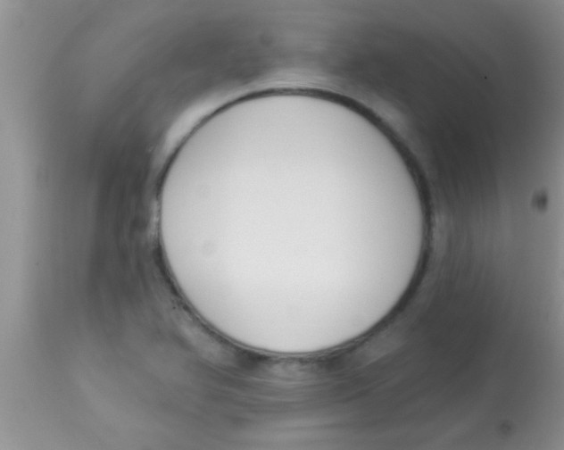 X0000112891366200909181902