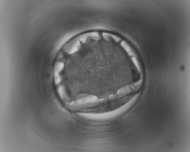 X0000112891367200909181902