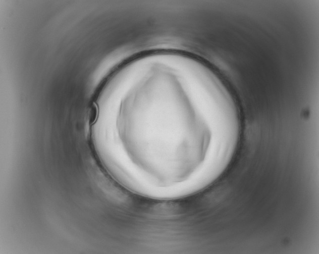 X0000112891368200909181902