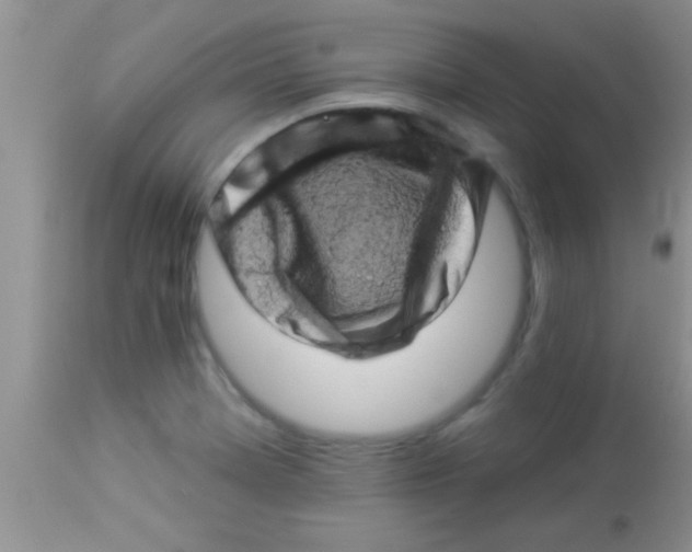 X0000112891369200909181902