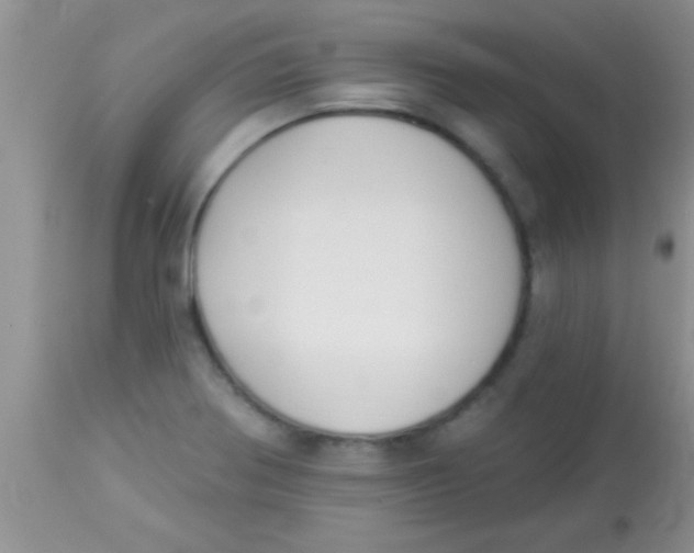 X0000112891370200909181902