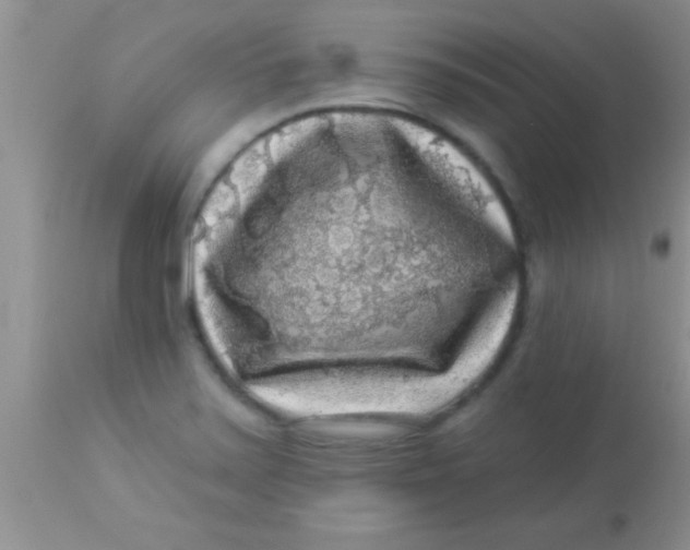 X0000112891371200909181902
