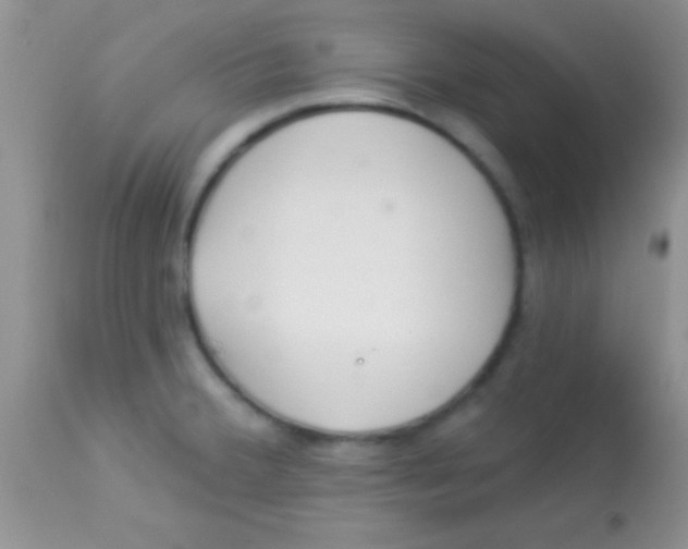 X0000112891380200909181902