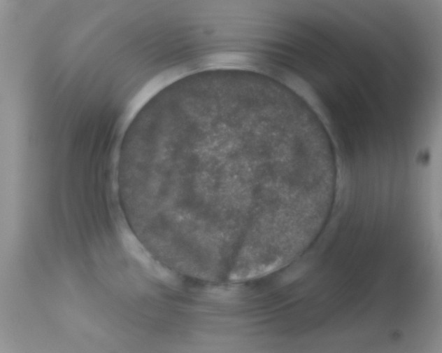 X0000112891386200909181902