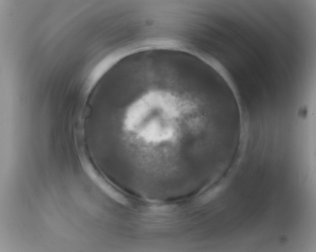 X0000112891389200909181902