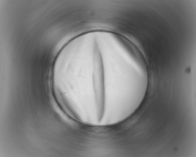 X0000112891391200909181902