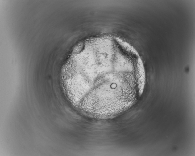 X0000112891393200909181901