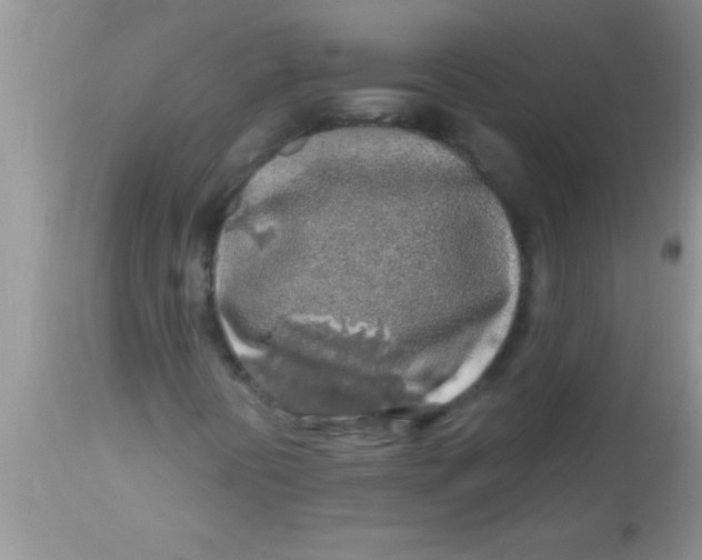 X0000112891394200909181901