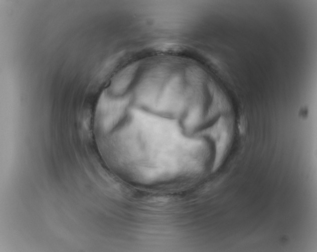 X0000112891396200909181901