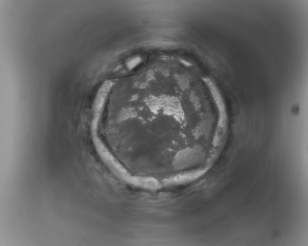 X0000112891397200909181901