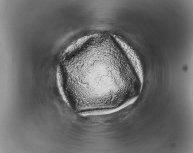 X0000112891398200909181901