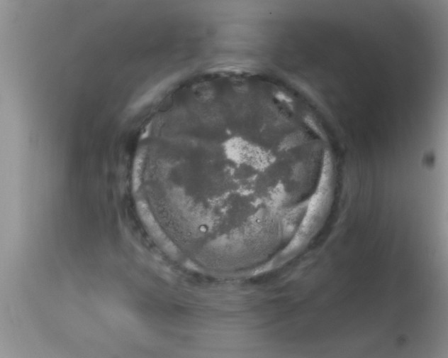 X0000112891399200909181901
