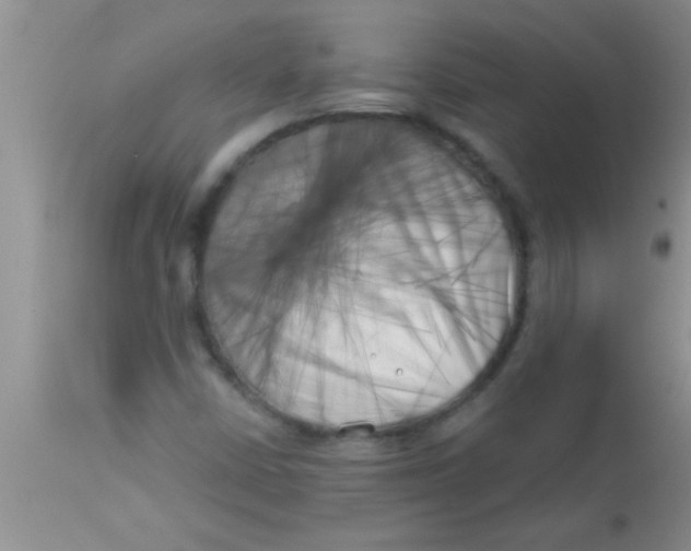 X0000112891402200909181901
