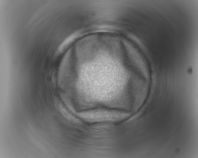 X0000112891403200909181901