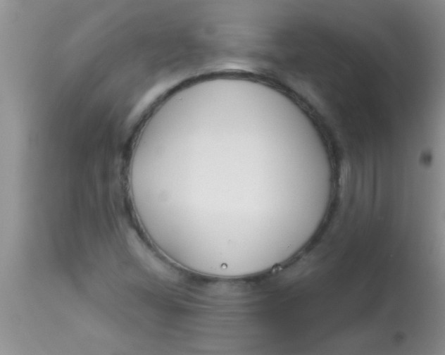 X0000112891404200909181901