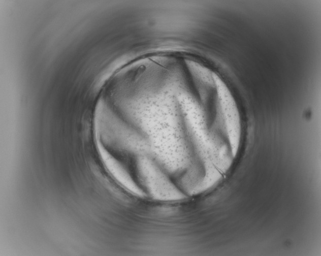 X0000112891409200909181901