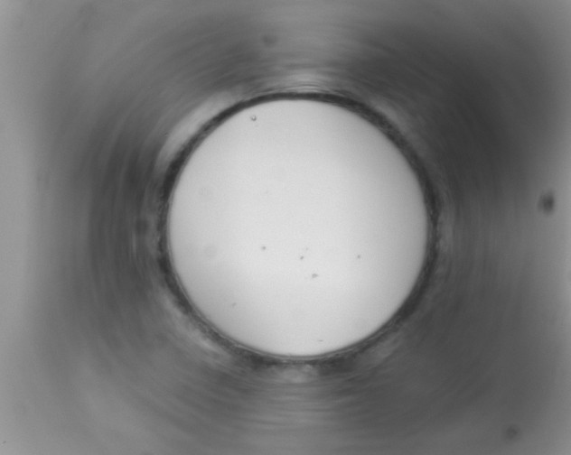 X0000112891410200909181901