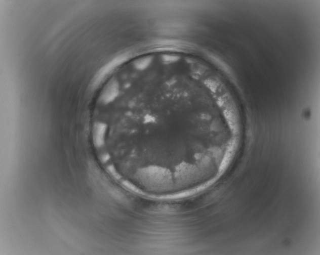 X0000112891411200909181901