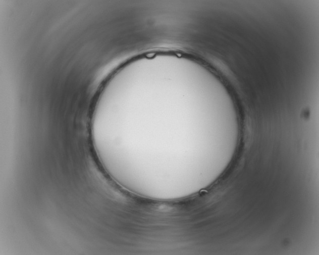 X0000112891412200909181901