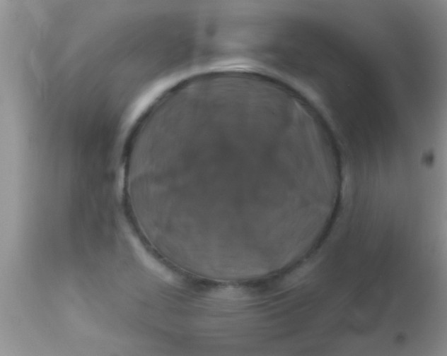 X0000112891414200909181901