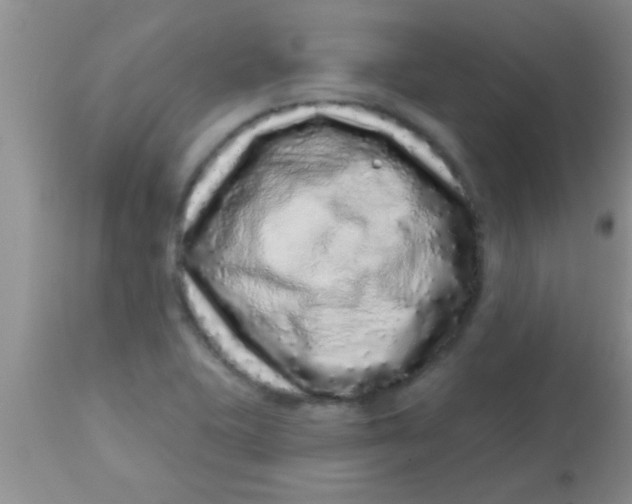 X0000112891415200909181901