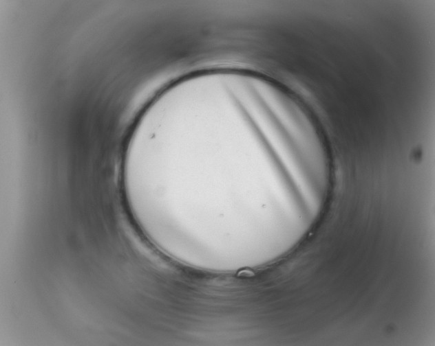 X0000112891416200909181901