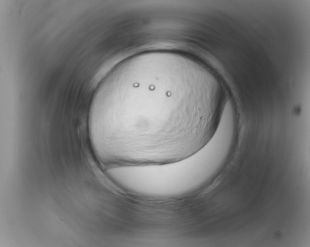 X0000112891417200909181901