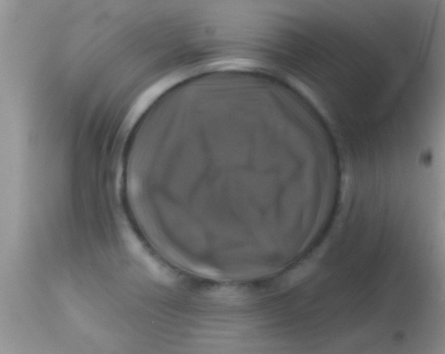X0000112891418200909181901