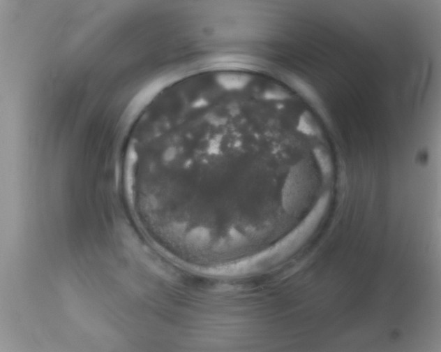 X0000112891419200909181901