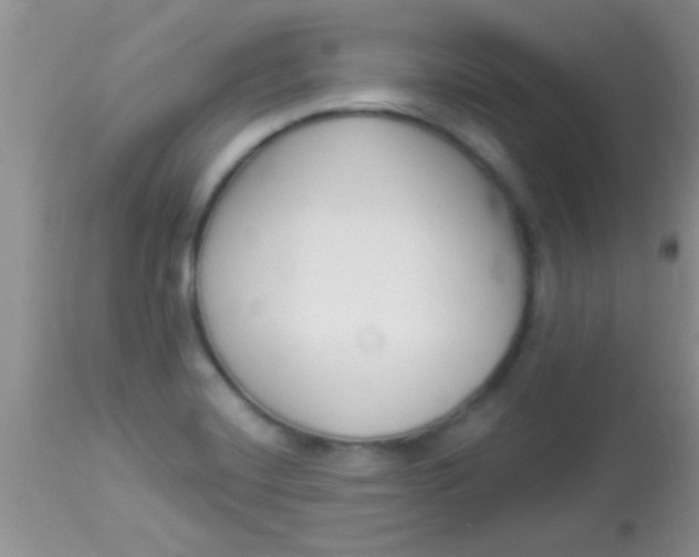 X0000112891420200909181901