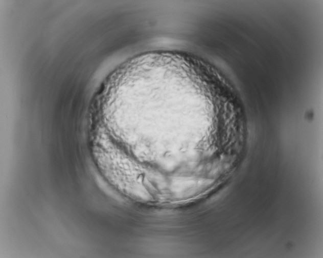 X0000112891421200909181901