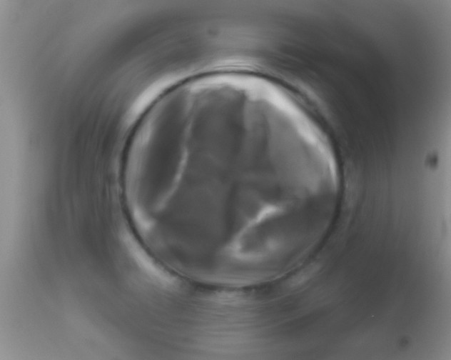 X0000112891422200909181901