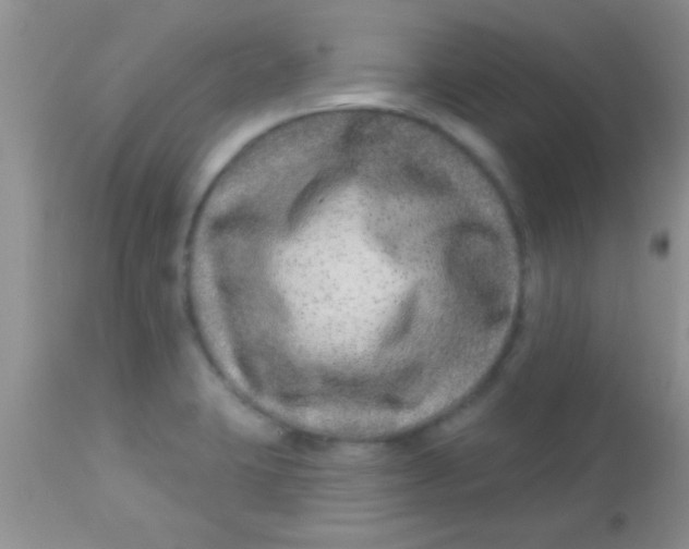 X0000112891423200909181901