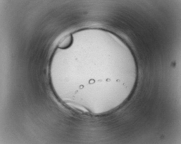 X0000112891424200909181901