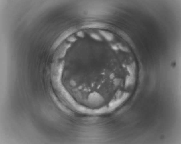 X0000112891425200909181901
