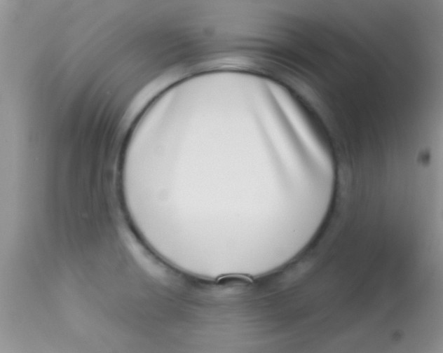 X0000112891426200909181902