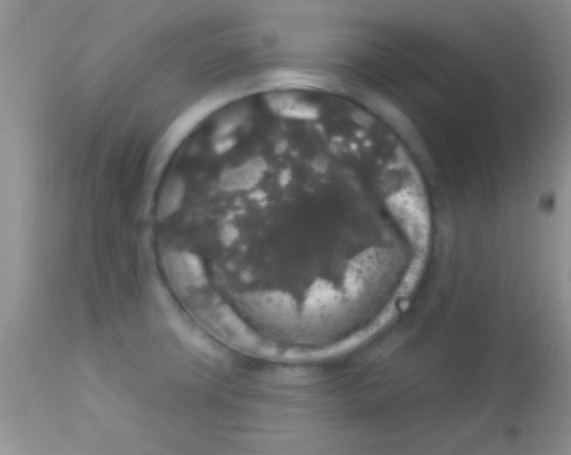 X0000112891427200909181902