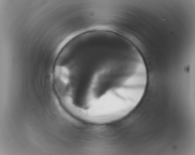 X0000112891428200909181902