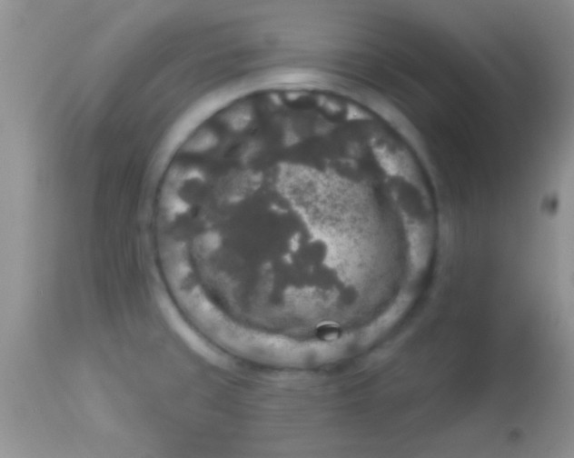 X0000112891429200909181902